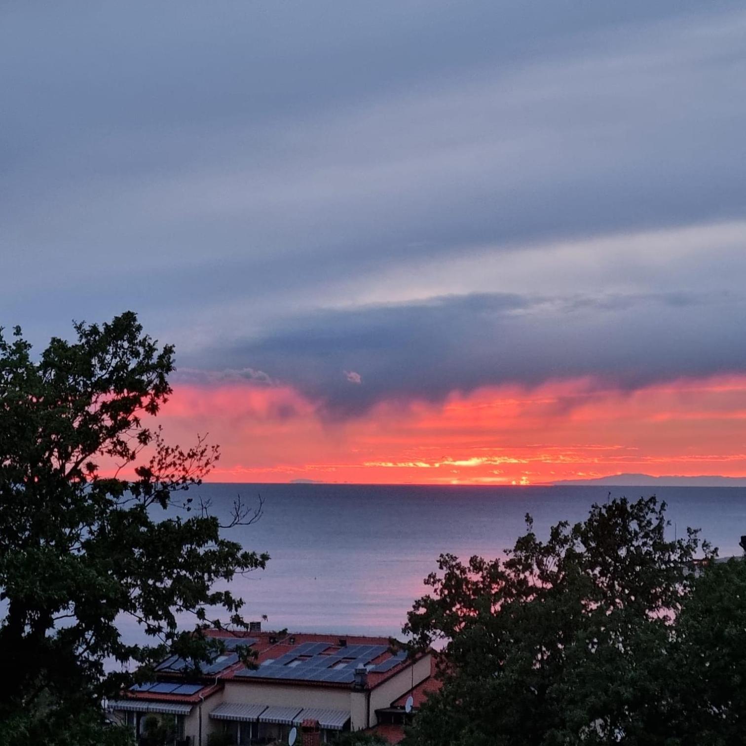 Apartments Krizine Umag Eksteriør bilde